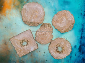 Posavasos de resina de color crema de la mejor calidad con bordes dorados, precio al por mayor, artesanías de resina - Product Image 3