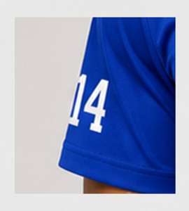 Camiseta de Manga Corta para Hombre Phi Beta Sigma, Color Azul Rey, Logotipo Impreso por Transferencia de Calor, Secado Rápido, Ropa Casual de Alto Rendimiento - Product Image 5