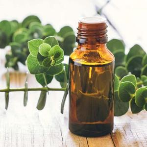 Aceite Esencial de Eucalipto de Alta Gama para Purificación del Aire, Aromatización de Habitaciones y Aplicaciones Naturales para el Cuidado del Hogar a un Precio Económico - Product Image 1