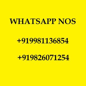 Proveedor de Polvo de Color Holi a Granel – Gulal Orgánico No Tóxico para Carreras de Color, Festivales de Color y Eventos de Recaudación de Fondos - Product Image 6