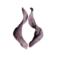 Corne de mouton véritable ou de Ram, de haute qualité, vente directe au détail, décoratif pour la maison, livraison directe
