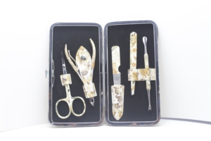 Luxuries Stainless Steel 5 Pieces Customizable Packaging Travel-Friendly Nail Care Kit with <b>Case</b> Steel Manicure Pedicure Set - Product Image 4