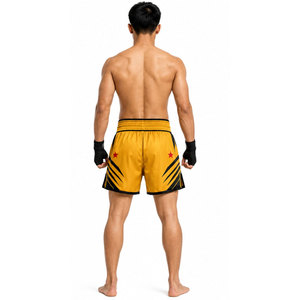 Pantalones Cortos de Boxeo Woosung de Buena Calidad en Oferta, Pantalones Cortos de Muay Thai Woosung al por Mayor, Pantalones Cortos de Entrenamiento - Product Image 4