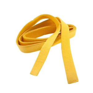 Meilleure Vente En Gros Ceinture Professionnelle d'Arts Martiaux BJJ Taekwondo Personnalisable avec Logo - Product Image 3