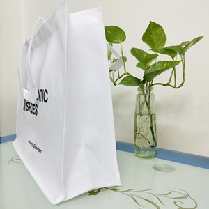 Sac de courses non tissé laminé écologique et réutilisable, fabriqué au Vietnam, à prix abordable, avec logo personnalisé - Product Image 2