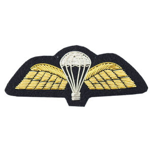 Insignias Bordadas a Mano de Alta Calidad con Nombre y Rango de Oficiales en 3D, Personalizadas OEM, para Blazers, Sombreros y Telas de Lona - Product Image 2