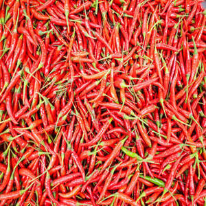 Piment rouge de qualité supérieure, entier, séché à l'air (AD), sans tige, 100% pur, FitTree International, épices et herbes simples - Product Image 2