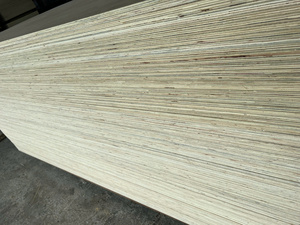 Vietnam Melamine Plywood 18mm <b>Sheet</b> 4x8 Kitchen Cabinet Any Kinds of Furniture Board Melamine <b>Laminated</b> Plywood - Product Image 5