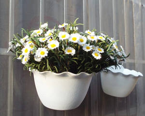 Maceta para decorar el hogar y el jardín, maceta redonda colgante con plástico de alta calidad - Product Image 1