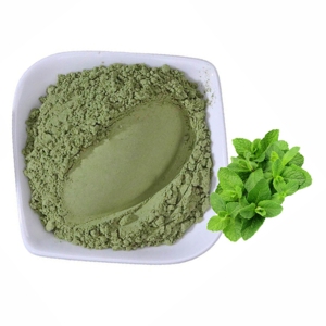OEM/ODM Polvo de Hoja de Menta 100% Puro y Natural, Polvo de Hojas de Menta Secas 100% Puro, Polvo de Menta Molido Fino de Primera Calidad - Product Image 4