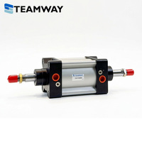 Cylindre pneumatique à piston standard TEAMWAY DN, alésage 32-100 mm, course 25-500 mm, en alliage d'aluminium, garantie 1 an pour Airtac SI
