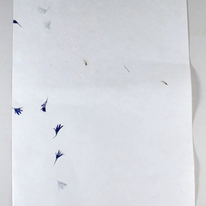 Hot Selling Cotton Premium Papers' 10 A4 Letter Heads + 5 Envelopes Packed As A Set In A Folder - Product Image 1