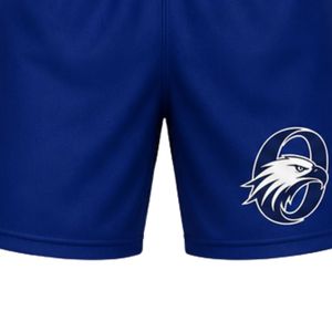 Blue White Ice Hockey Set Sublimation Jersey and Shorts <b>Athletic</b> Sports Uniform Team Match Wear Training Apparel for Hockey - Product Image 6