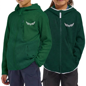 Color Blocking Hooded Fleece <b>Jacket</b> with Zipper Embroidered Logo Front Pocket Design for Kids Autumn Wear - Product Image 2