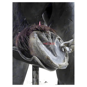 Professional <b>Veterinary</b> Hoof Trimming Rasp Tools Horses Durable Stainless Steel Farrier Equipment Precision Hoof Care - Product Image 4