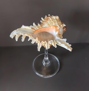 Copas de vino de concha marina, artesanía hecha a mano, mejor precio, copas de cóctel martini para fiestas y accesorios de bar. - Product Image 5