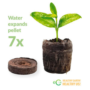 35mm &42mm Peat Pellet Seed Starter Soil for Growing Herbs, Plant, Flowers, <b>Vegetables</b> From Eco2go Vietnam - Product Image 1