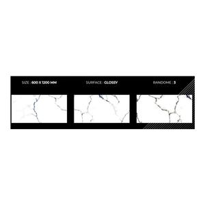 กระเบื้องพอร์ซเลน600x1200ลายหินอ่อนขัดพื้นขนาดใหญ่ผลิตจากอินเดีย - Product Image 2