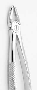 Forceps d'extraction dentaire pour racine supérieure, à bec étroit, pointe dentelée, manche texturé, en acier inoxydable - Product Image 4