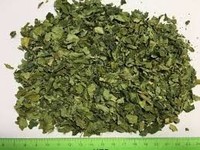 Penawaran Spesial Teh Herbal Moringa/ Teh Daun Moringa Potong/ Daun Moringa Kering Vietnam untuk Teh - Ms Kathy