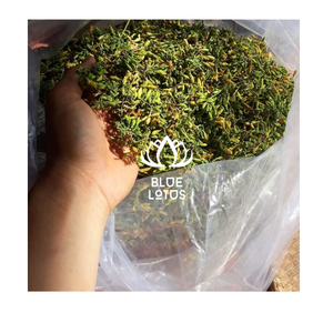 คุณภาพสูง รสชาติกลมกล่อมด้วยชาดอกมะละกอแห้ง ให้กลิ่นหอมโดดเด่น - Product Image 3