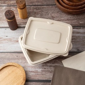Oceanic Global - Contenedor Rectangular Desechable Moderno de 500 ml, Moldeado con Pulpa de la Mejor Calidad, Fibra Natural Compostable, Caja para Alimentos de Uso Diario - Product Image 1