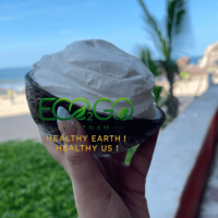 Bols en noix de coco écologiques pour la crème glacée, les smoothies, les salades d'açai et les desserts de Eco2go Vietnam