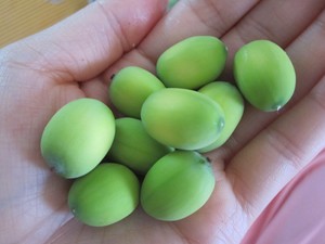 Soft and <b>Sweet</b> Fresh Lotus Seeds <b>2kg</b> Bag Vietnam Toan Tai Loc Phat Brand for Food Processing & Retail Distribution - Product Image 5