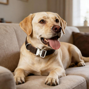 Collares para perros hechos a mano en Pakistán, de cuero trenzado, accesorio ideal para perros activos y actividades al aire libre a bajo precio. - Product Image 5