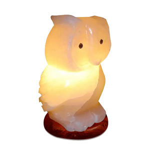 Lámpara de Cristal de Sal Rosa del Himalaya de Alta Calidad al por Mayor, con Forma de Animal Personalizada, Hecha a Mano, Tacto Real, Nueva, Eléctrica, Artesanía Natural - Product Image 3