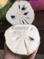Vietnam Premium Zuurzak - Hoge Kwaliteit, Natuurlijk Zoet, Competitieve Prijs, Rijk aan Vitamine C // Mr. Tom