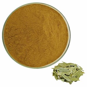 Extrait de feuille de Senna de qualité supérieure 10% Poudre de Senna naturelle de qualité alimentaire pour hommes et femmes Poudre de Cassia Angustifolia pure et finement moulue - Product Image 4