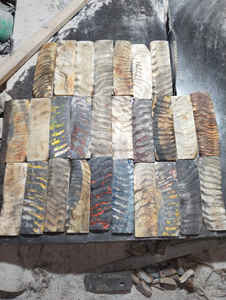 SANIYA HANDICRAFT propose une utilisation industrielle Style animal martelé échelle de corne de bélier sculpté artisanat naturel - Product Image 2