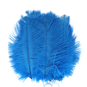 Plumas de Avestruz Frescas al por Mayor, Calidad Premium Directamente de la Fuente para Mercados Globales - Product Image 5