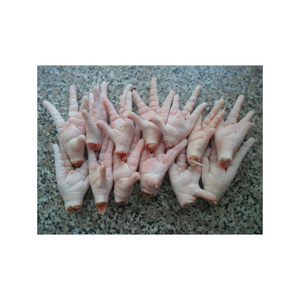 Patas de pollo congeladas a granel para comercio y distribución constantes - Product Image 1