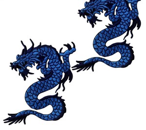 ซัพพลายเออร์ยอดเยี่ยม แพทช์ผ้าทอลายดอกไม้แบบใหม่ ปักโลโก้ PVC รีดติดเสื้อผ้า ตกแต่งเสื้อผ้า - Product Image 6