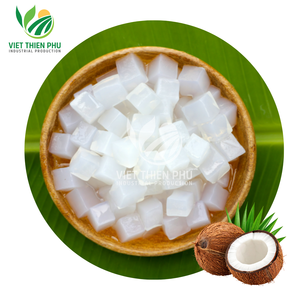 VIET THIEN PHU – GELÉE DE COCO EN CUBES – QUALITÉ INDUSTRIELLE POUR L'INDUSTRIE AGROALIMENTAIRE - Product Image 1