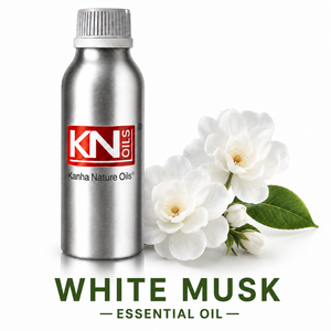 Top Grade 100% Pure White Musk Essential Oil Organic Certified Abelmoschus Moschatus Premium Quality Wholesaler Global Exporter - Product Image 1