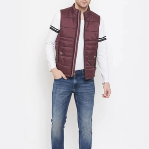 Gilet matelassé pour homme, sans manches, en duvet alternatif, fermeture éclair, veste d'hiver décontractée, style urbain, col montant, logo frontal - Product Image 1