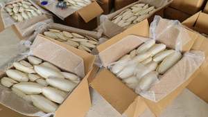 Eolaks Suplemento de Calcio Natural para Pájaros, Hueso de Sepia, Pico Afilado, Cuttlebone, Sra. Lima - Product Image 6