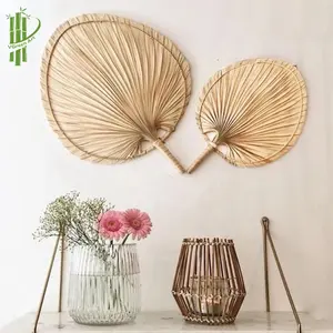 WALL ART natural palm leaf hand fans small palm leave fan modern eco friendly wall decorations for home decor house