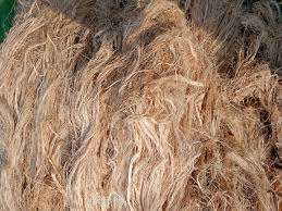 เส้นใยกล้วยแปรรูปจำนวนมากสำหรับผู้ส่งออกสิ่งทอและผู้ผลิตสินค้าที่ยั่งยืน - Product Image 6