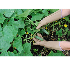 Guantes de Jardinería Premium, Suaves y Cómodos, para Plantar y Desherbar, Proveedor y Fabricante - Product Image 6