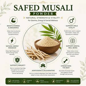 Poudre de racine de Safed Musali pure, poudre naturelle à base de plantes Safed Musali pour soutenir l'énergie, la résistance physique et le bien-être nutritionnel - Product Image 2