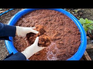 Bloc de fibre de coco du Vietnam 5 kg – Substrat de culture écologique et extensible pour la maison et la ferme - Product Image 5