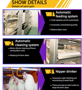 Jaulas para Pollos Totalmente Automáticas Tipo <span class=keywords><strong>A</strong></span> y Tipo H para Crí<span class=keywords><strong>a</strong></span> de Aves de Corral y Producción de Huevos - Product Image 3