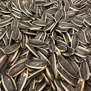 ซื้อเมล็ดทานตะวันคั่วแบบขายส่ง คุณภาพพรีเมียม จัดส่งรวดเร็ว ขนมขบเคี้ยวจากธรรมชาติ เหมาะสำหรับทำสลัด อบ ขนม และเป็นของว่าง - Product Image 6