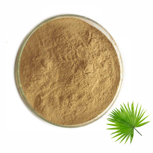 Polvo de Saw Palmetto OEM a Granel, 100% Puro y Natural, para el Crecimiento del Cabello y la Salud de la Próstata, para Hombres y Mujeres - Product Image 5