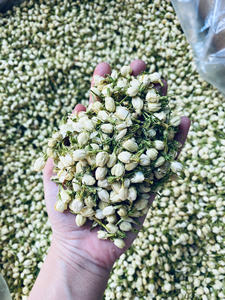 Thé en vrac de jasmin séché en gros, bourgeons de jasmin parfumés pour l'industrie des boissons et alimentaire - Product Image 6