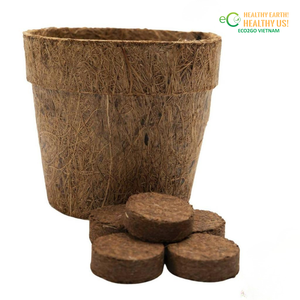 ECO2GO VIETNAM - Pellets de Fibra de Coco Comprimida con Buena Drenación y Combo de Maceta de Fibra de Coco para Plántulas de Vivero - Product Image 3
